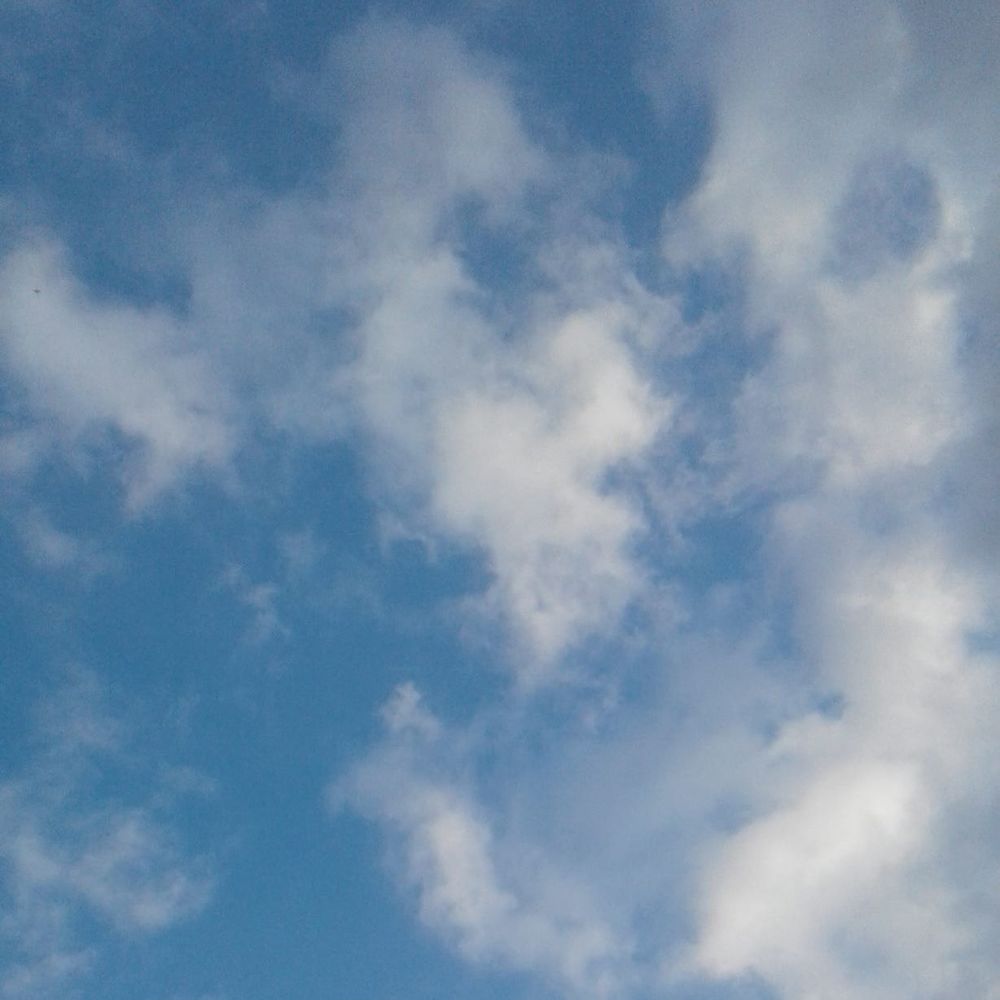 Meet your Posher, Yaya